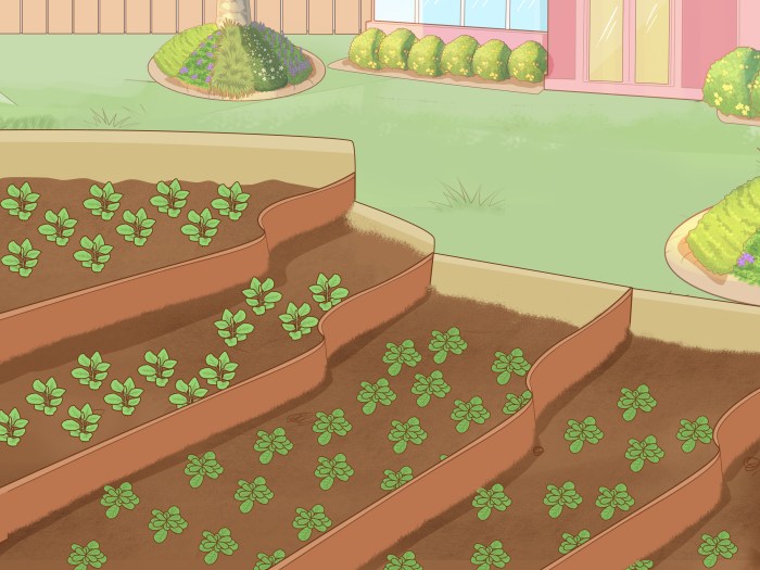 Soil erosion
